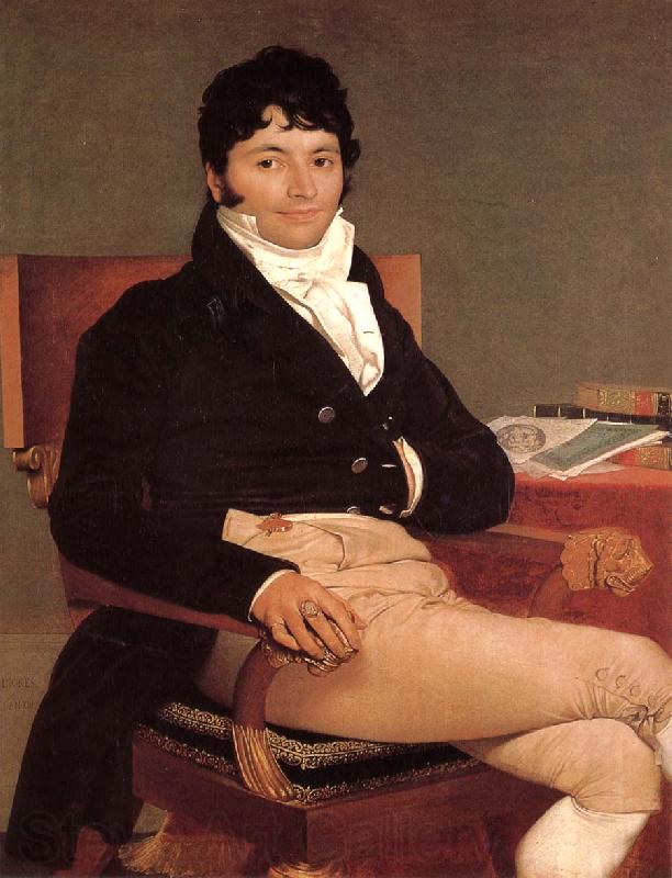 Jean-Auguste Dominique Ingres Portrait of Liwi Germany oil painting art